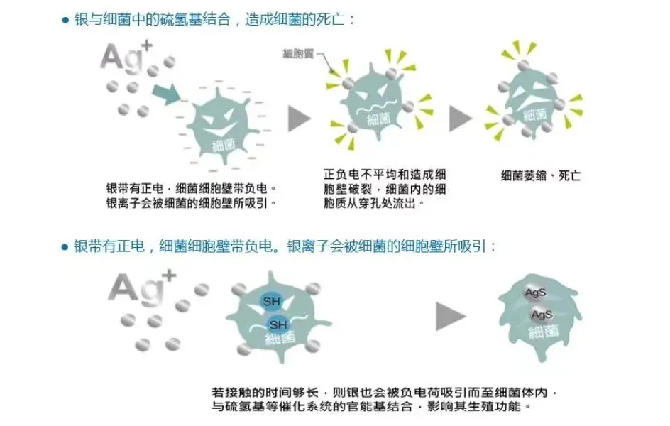 1733886565915484.png 图片12.png