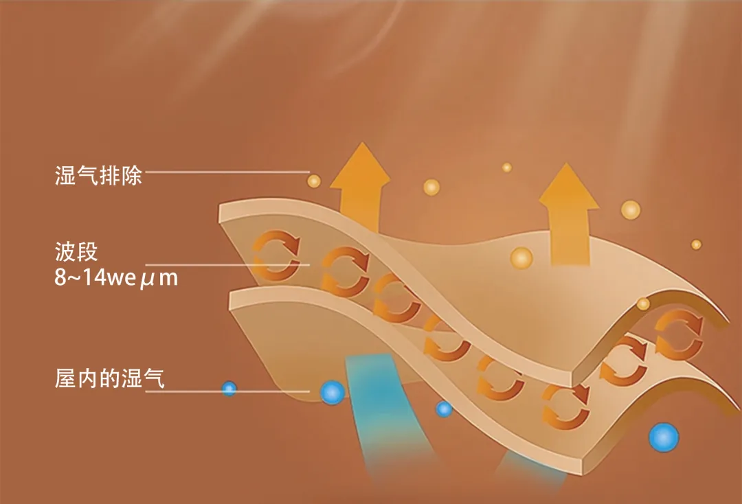 1733887009489397.png 图片6.png