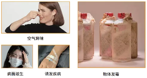 1733887024248452.png 图片8.png